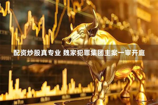 配资炒股真专业 魏家犯罪集团主案一审开庭