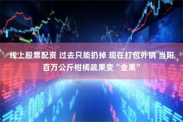 线上股票配资 过去只能扔掉 现在打包外销 当阳百万公斤柑橘疏果变“金果”